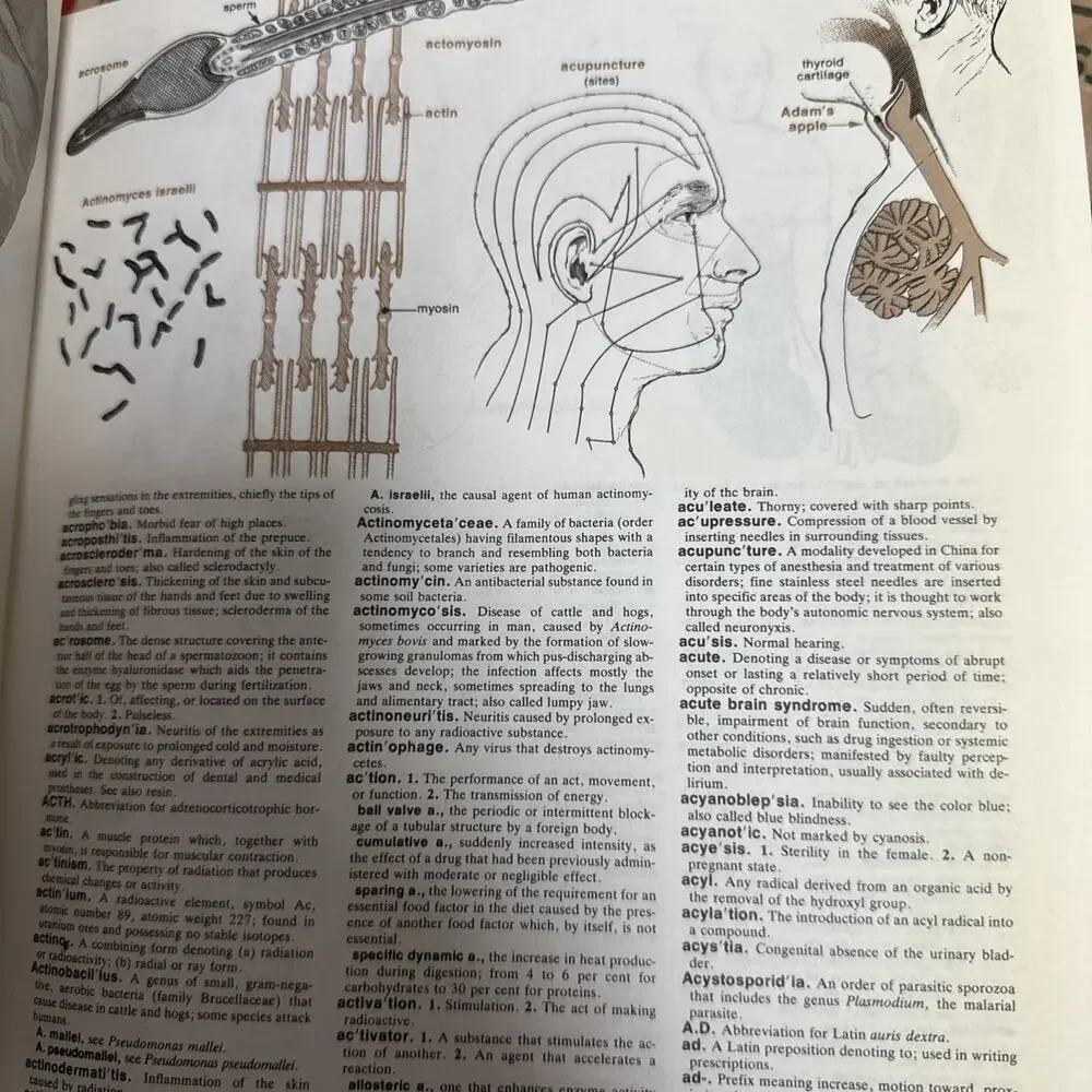 Melloni's Illustrated Medical Dictionary Dox Melloni‎ Eisne 1979 Hardcover Book